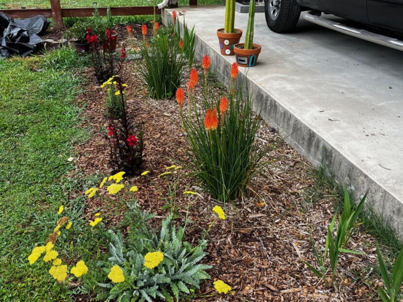 Flower bed filled with sun-loving flowers covered with a 2-inch layer of hardwood mulch.