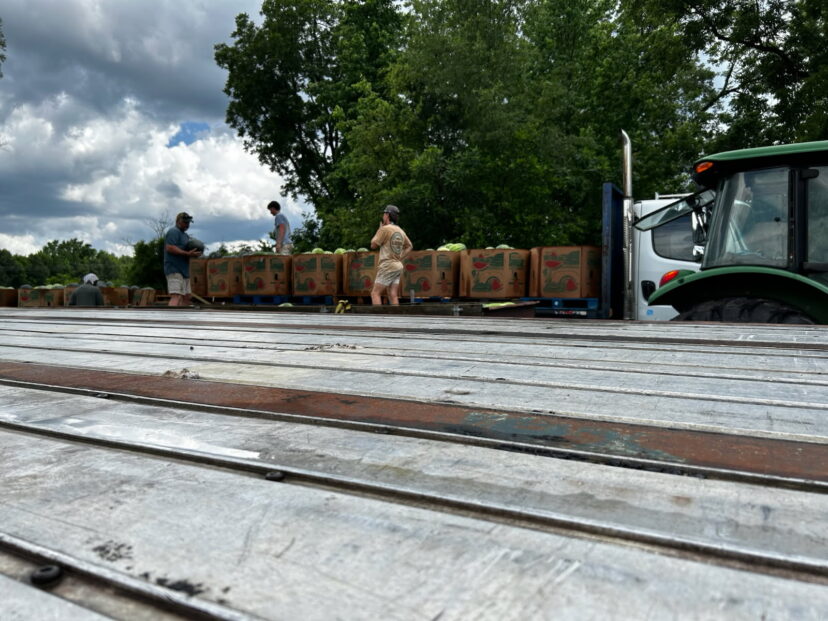 A group of people loading boxes on a truck