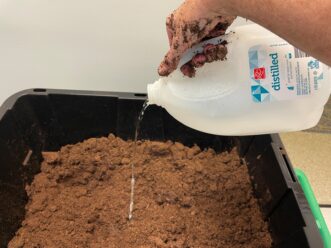 Peat moss substrate soaking in distilled water before being added to a carnivorous plant terrarium.