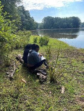 The Health Benefits of Nature