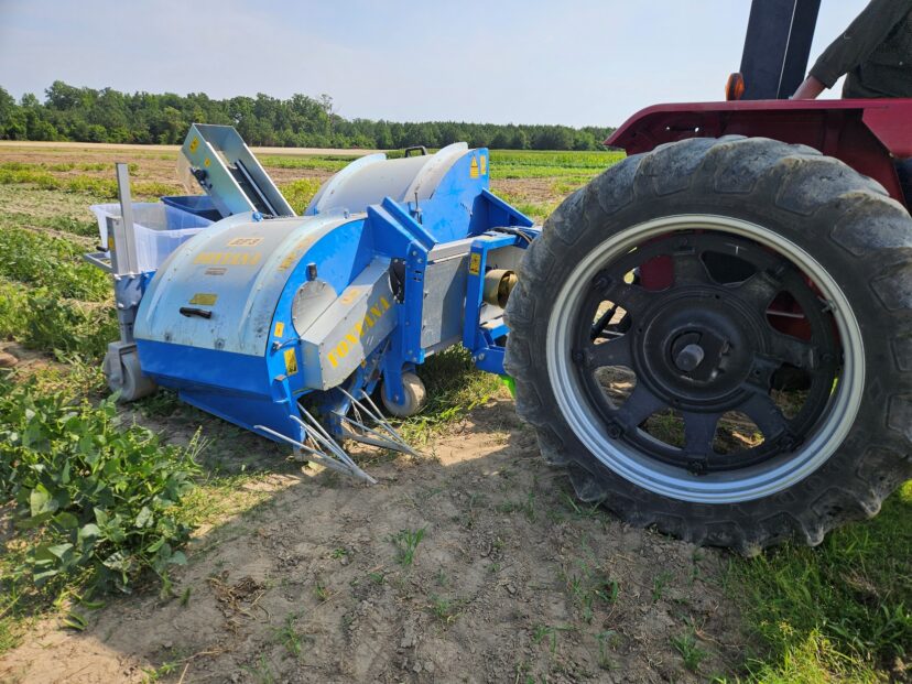 A single-row bean harvester
