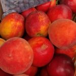 This Month in Your Garden- July 2026