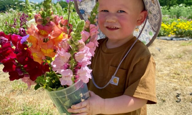 Person caring for healthy garden plants, illustrating how gardening supports physical, emotional, and environmental well-being.