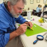 South Carolina Native Plant Certificate Program: Fall 2026 Classes