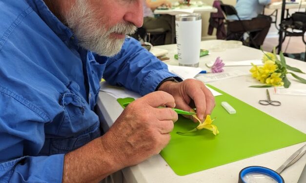 South Carolina Native Plant Certificate Program: Fall 2026 Classes