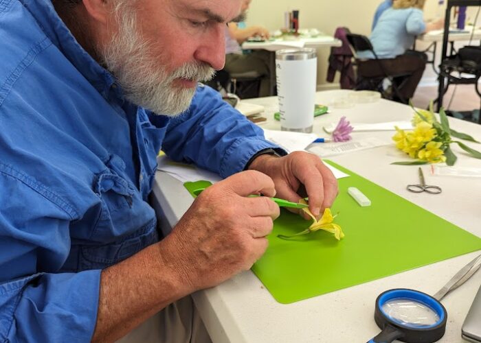 Participants examining plants during in the classroom.