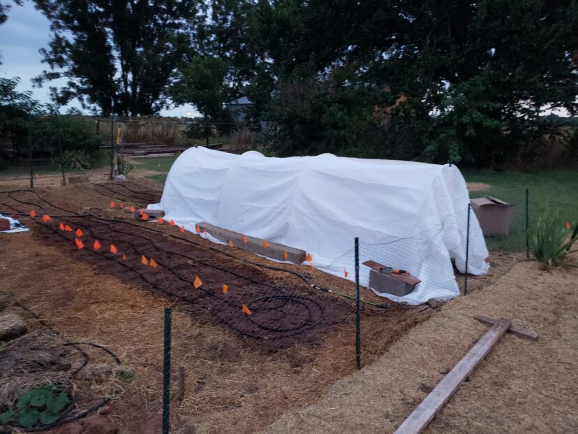 Shade cloth installed over vegetable garden beds to protect seedlings from intense summer heat.
