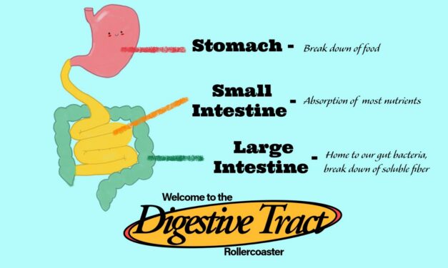 What is Fiber and Why It Matters for Digestion
