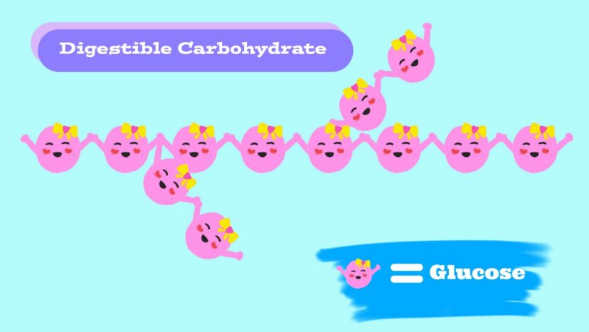 Digestible carbohydrate structure showing a chain of glucose molecules linked in a way that digestive enzymes can easily break apart, as seen in starch and glycogen.