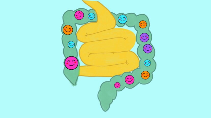 Illustration of the large intestine highlighting gut bacteria living in the colon, where they ferment certain types of dietary fiber and produce beneficial compounds.