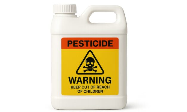 Children and Pesticide Use in and Around the Home