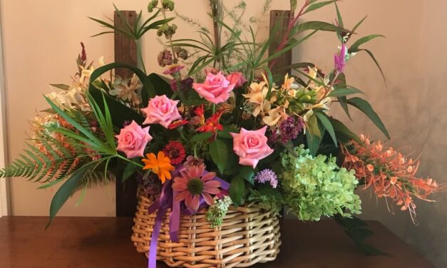 This Month in Your Garden – September 2026