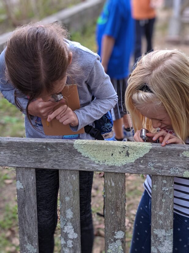 Junior Naturalists examining lichen on a wooden railing in the South Carolina Botanical Garden.