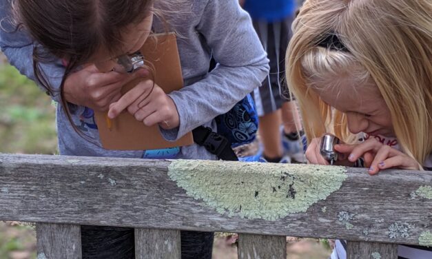 The Magical World of Lichens!